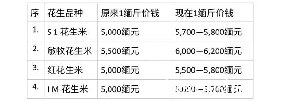 曼德勒市场上新花生米已上市但价钱却因购买力强劲而上扬