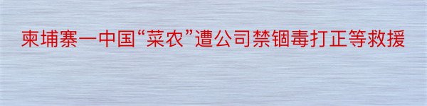 柬埔寨一中国“菜农”遭公司禁锢毒打正等救援