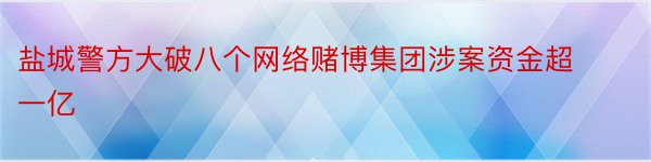 盐城警方大破八个网络赌博集团涉案资金超一亿