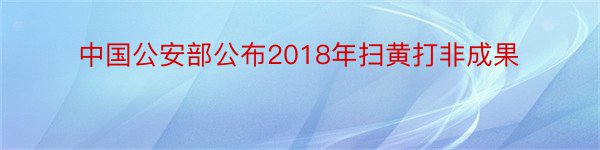 中国公安部公布2018年扫黄打非成果