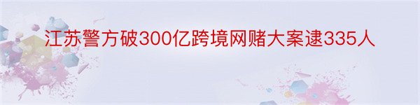 江苏警方破300亿跨境网赌大案逮335人