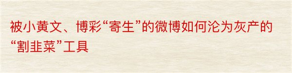 被小黄文、博彩“寄生”的微博如何沦为灰产的“割韭菜”工具