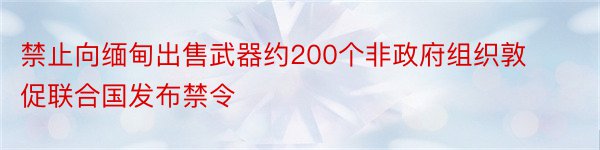 禁止向缅甸出售武器约200个非政府组织敦促联合国发布禁令