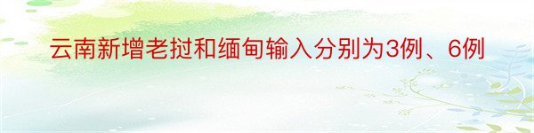 云南新增老挝和缅甸输入分别为3例、6例