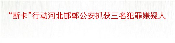 “断卡”行动河北邯郸公安抓获三名犯罪嫌疑人