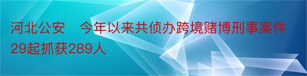 河北公安​今年以来共侦办跨境赌博刑事案件29起抓获289人