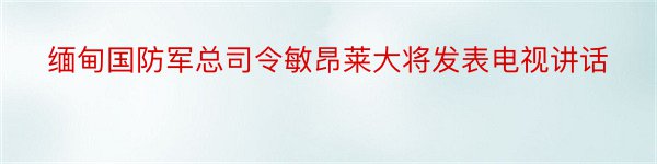 缅甸国防军总司令敏昂莱大将发表电视讲话